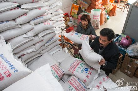 10家中外种子企业在京签下1500万美元大单