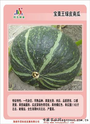 满田2199西红柿育种技术