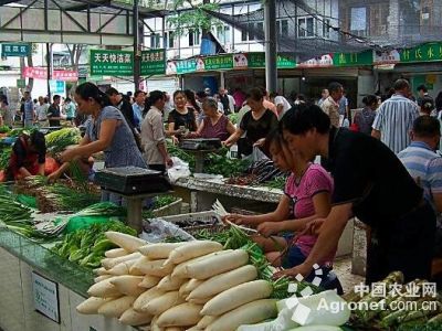 北京小白菜贮藏方法