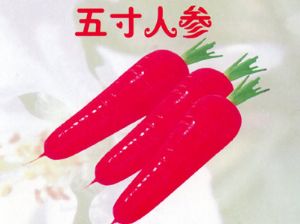 供应五寸人参—胡萝卜种子