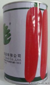 供应韩国三红七寸—胡萝卜种子