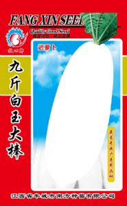 供应九斤白玉大棒—萝卜种子